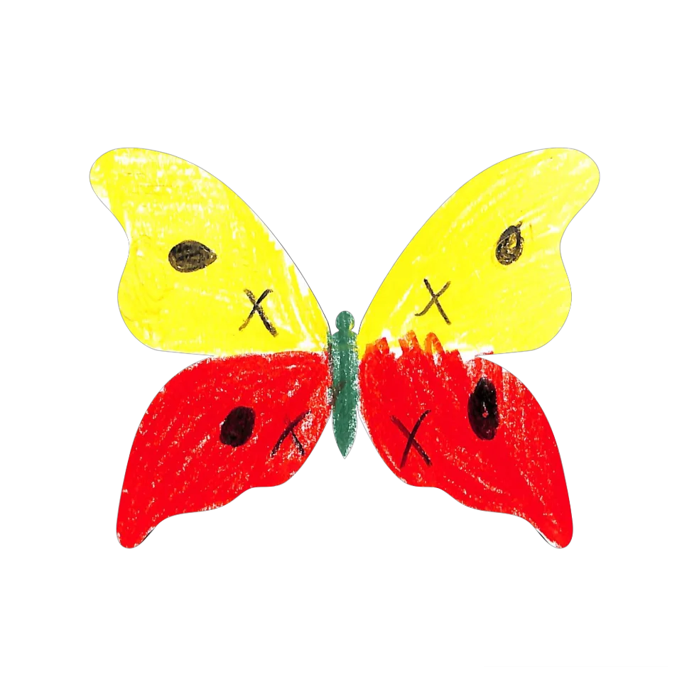 Original Butterfly Image