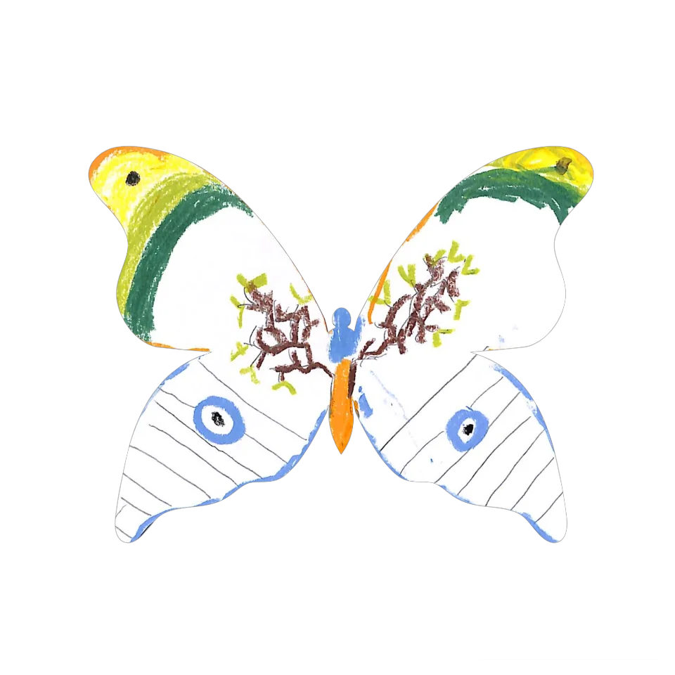 Original Butterfly Image