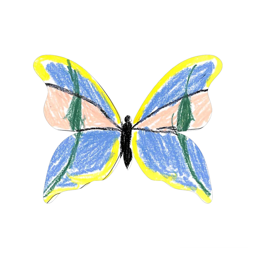 Original Butterfly Image