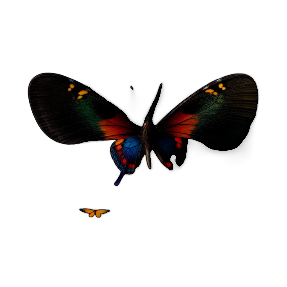 Generated Butterfly Image