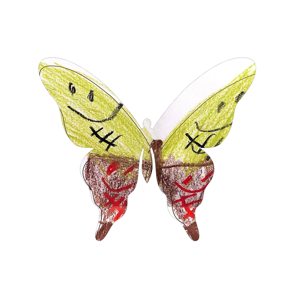Original Butterfly Image