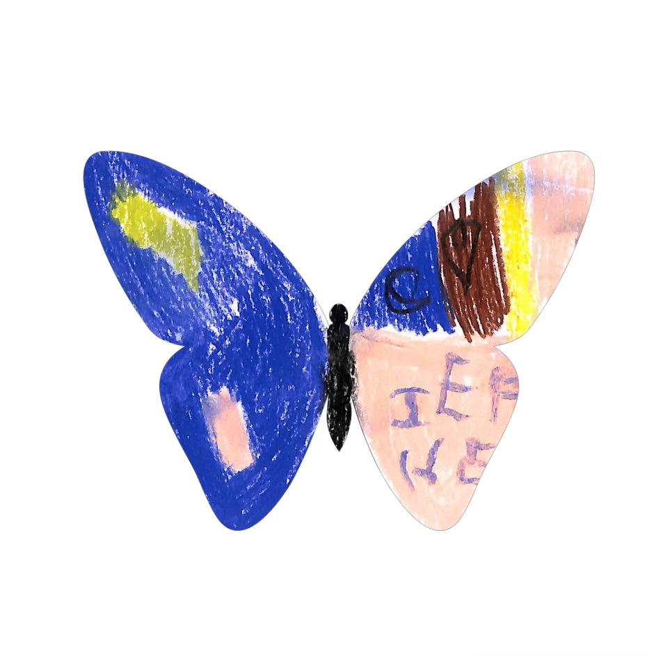 Original Butterfly Image