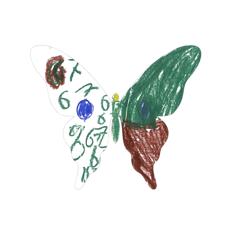Original Butterfly Image
