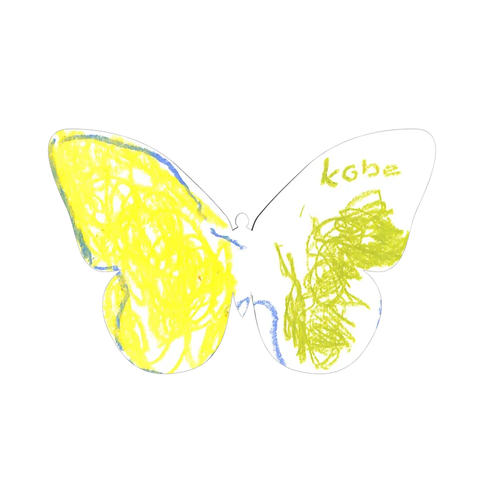 Original Butterfly Image