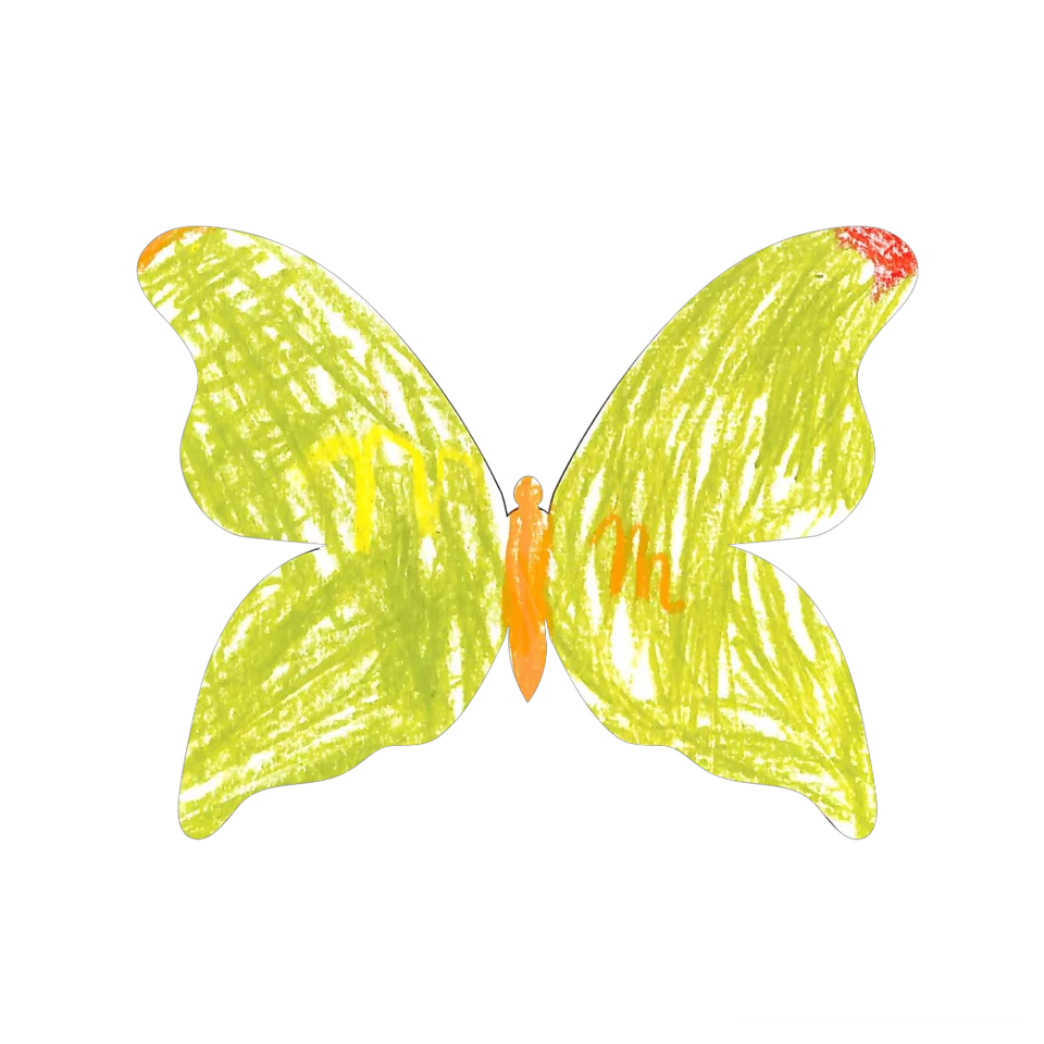 Original Butterfly Image