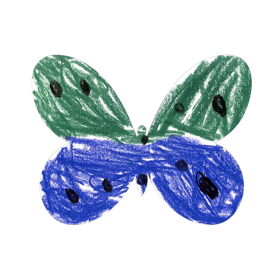 Original Butterfly Image