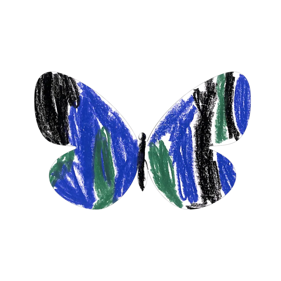 Original Butterfly Image