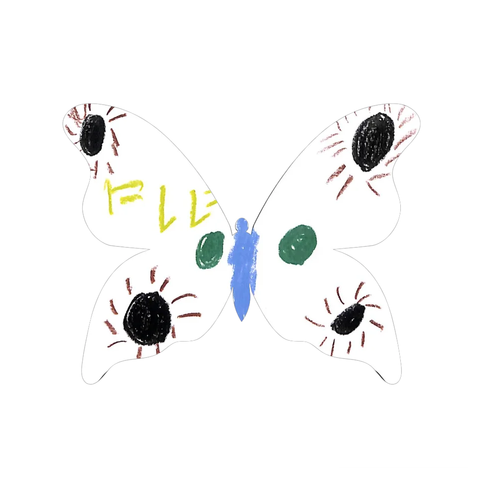 Original Butterfly Image