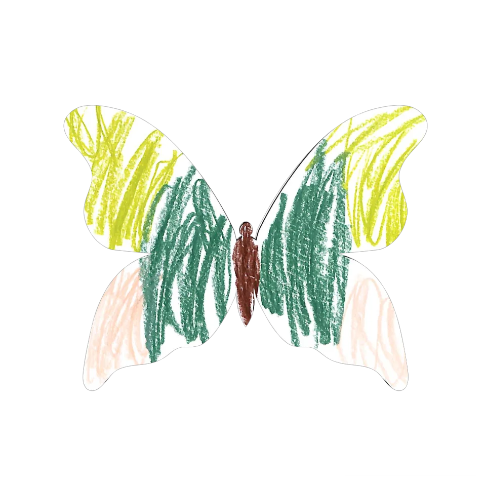 Original Butterfly Image