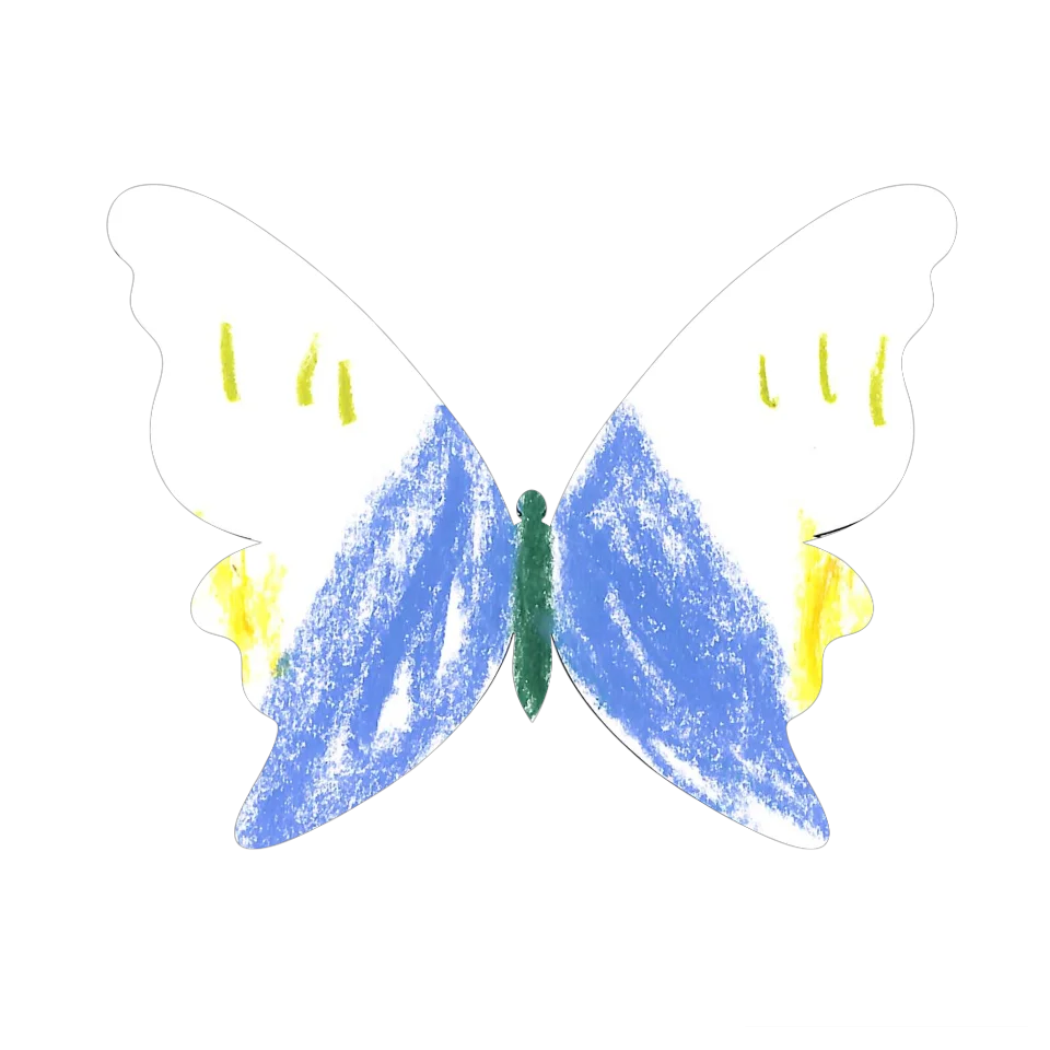 Original Butterfly Image