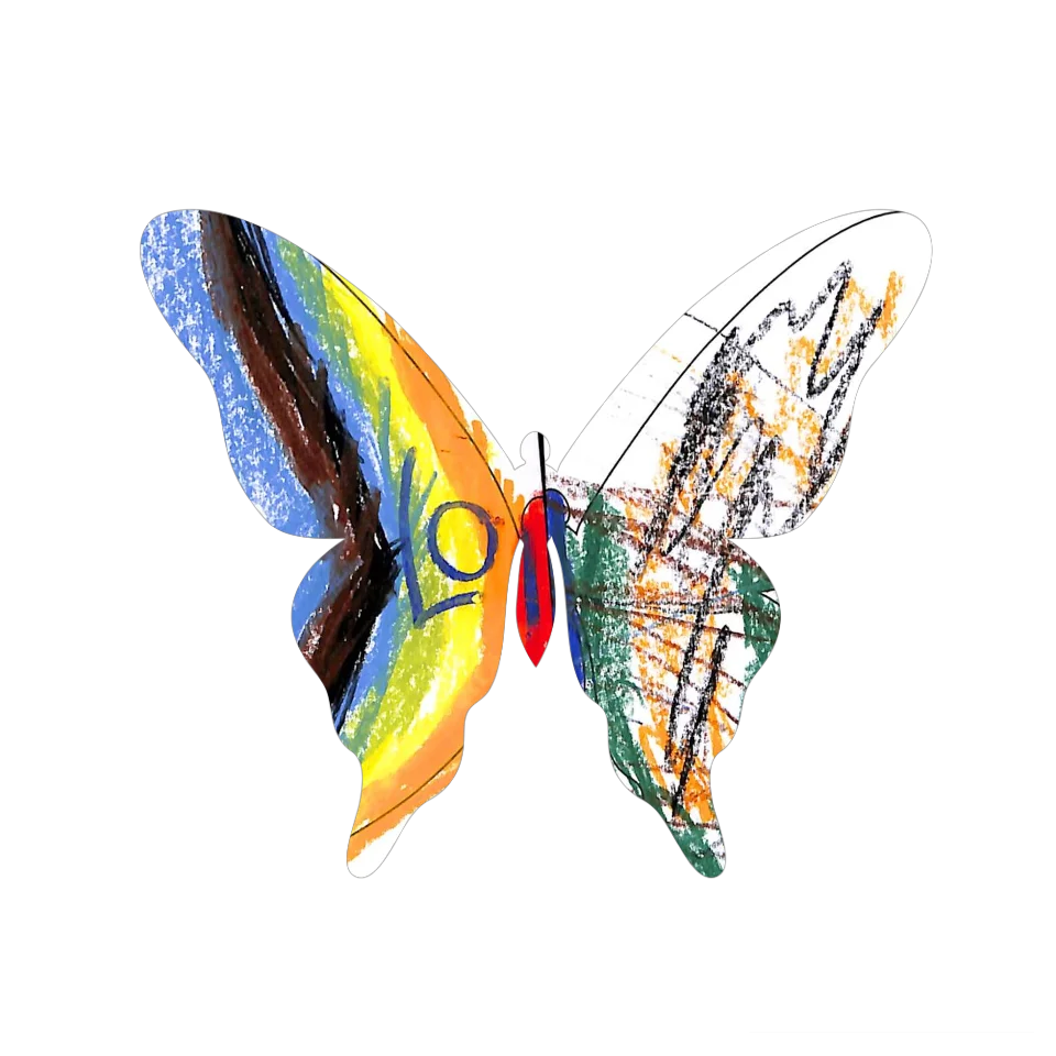 Original Butterfly Image