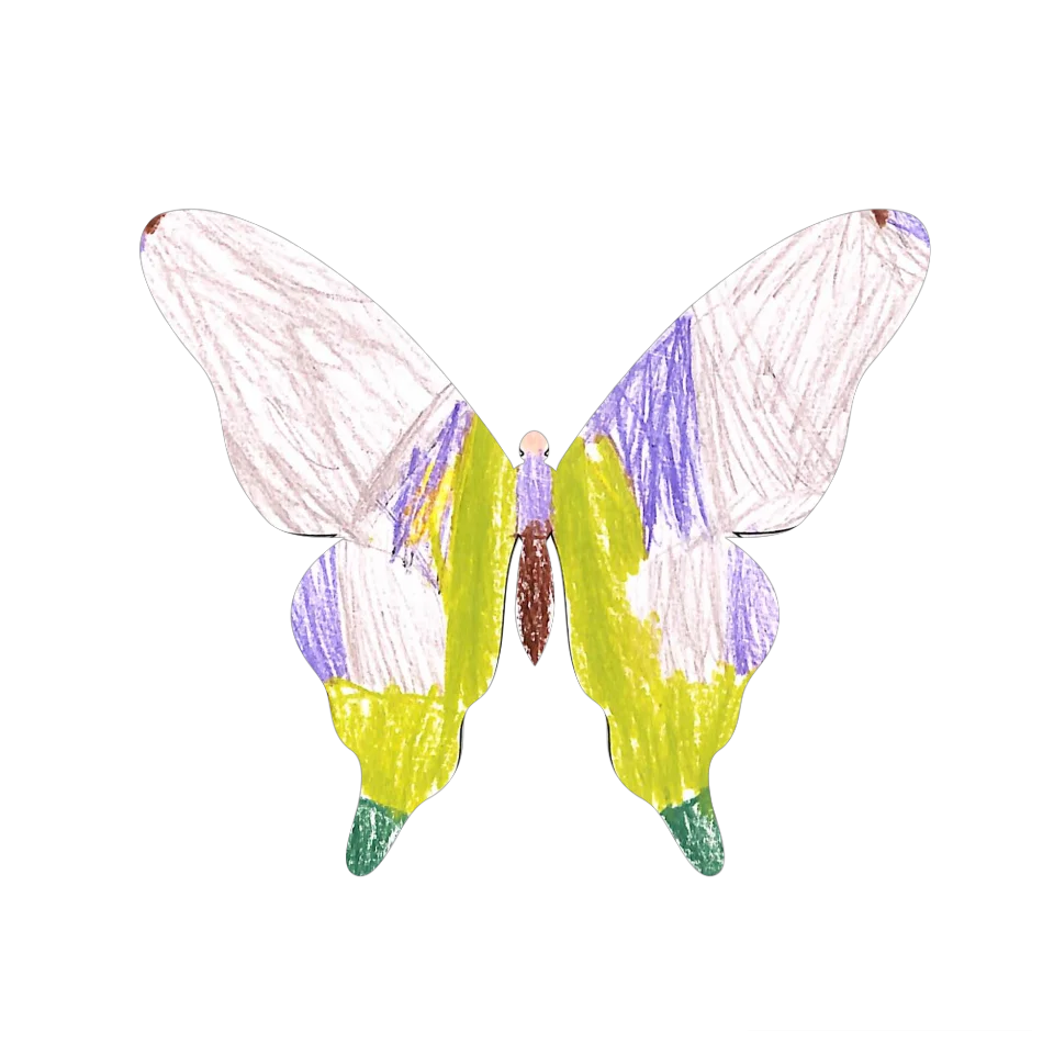 Original Butterfly Image