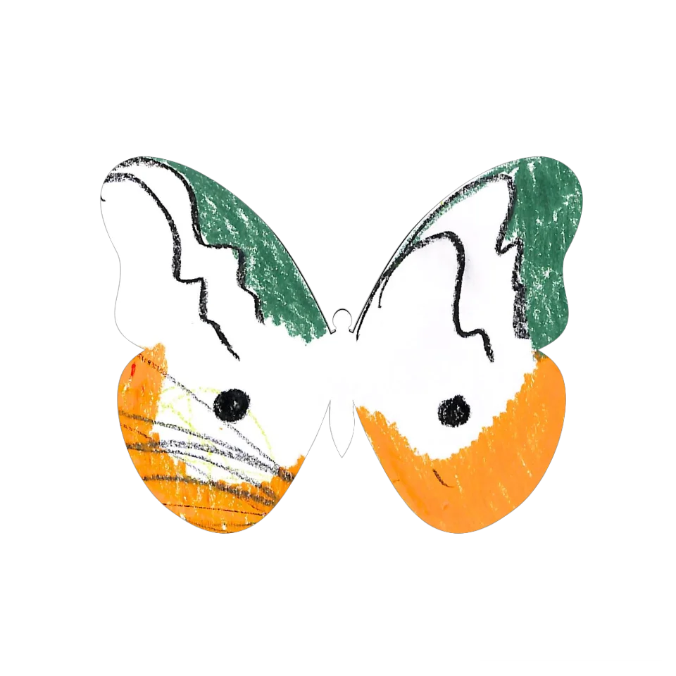 Original Butterfly Image