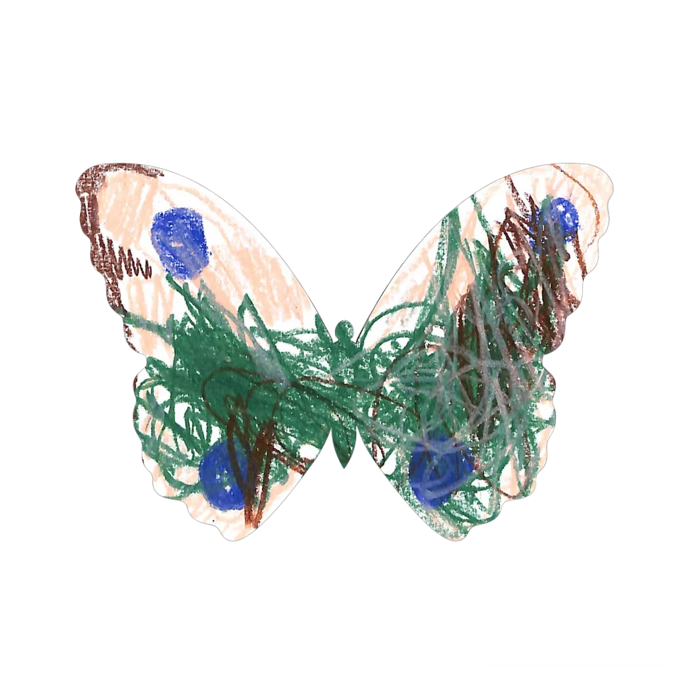 Original Butterfly Image
