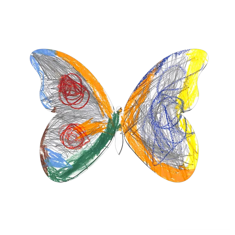 Original Butterfly Image