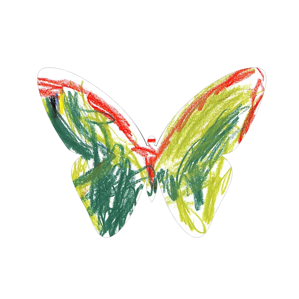 Original Butterfly Image