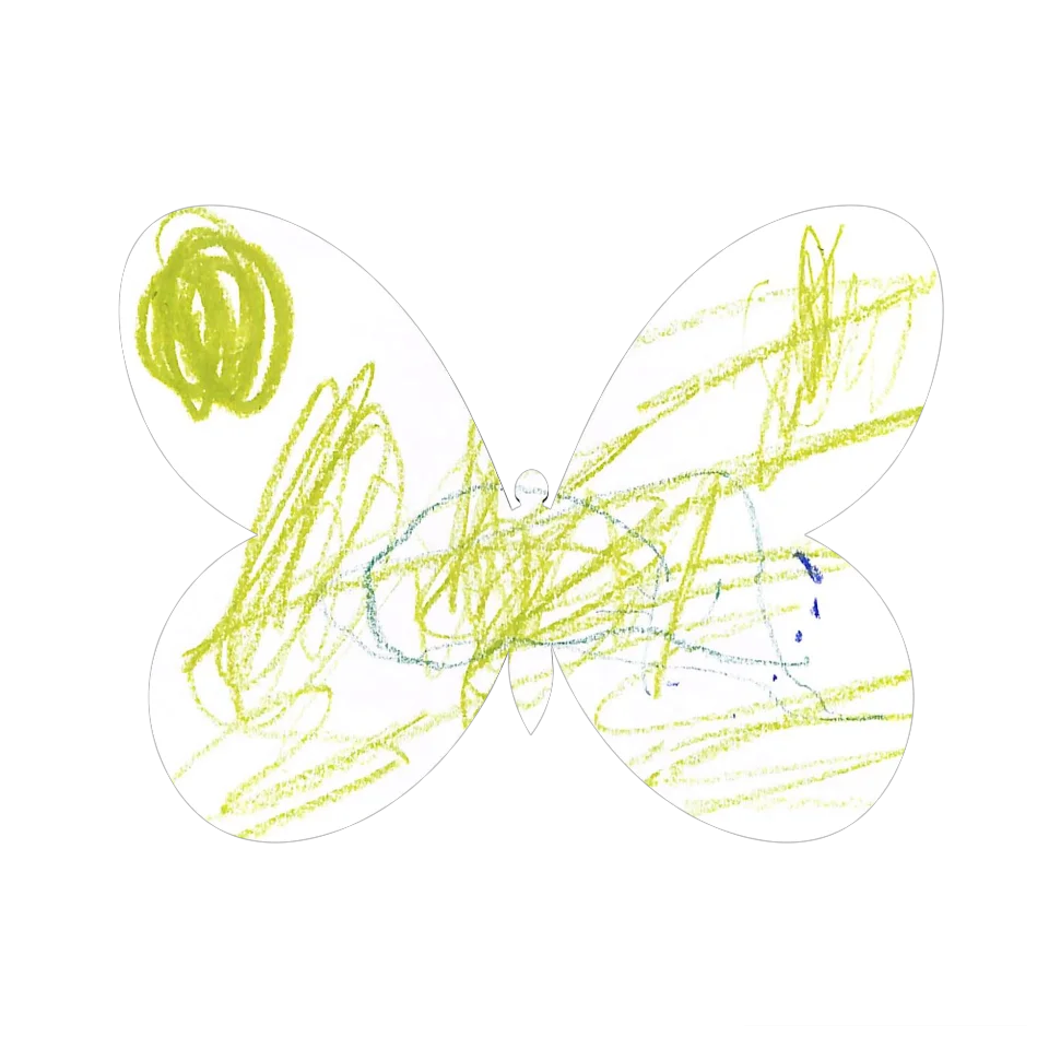 Original Butterfly Image