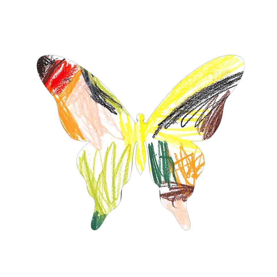 Original Butterfly Image