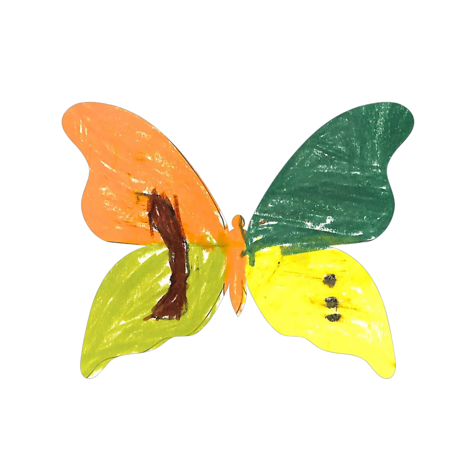 Original Butterfly Image