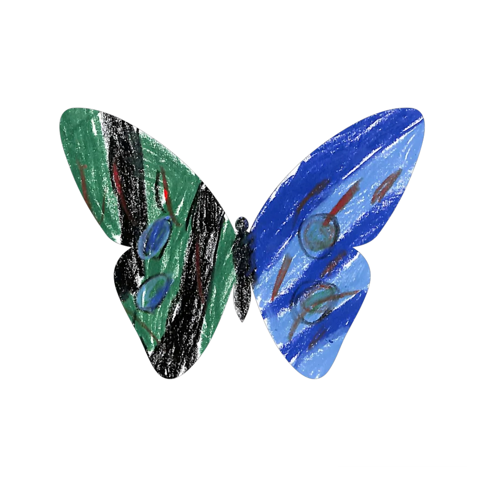 Original Butterfly Image