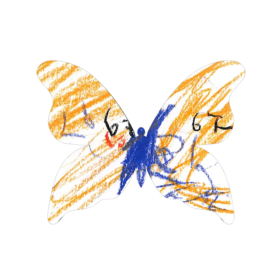 Original Butterfly Image