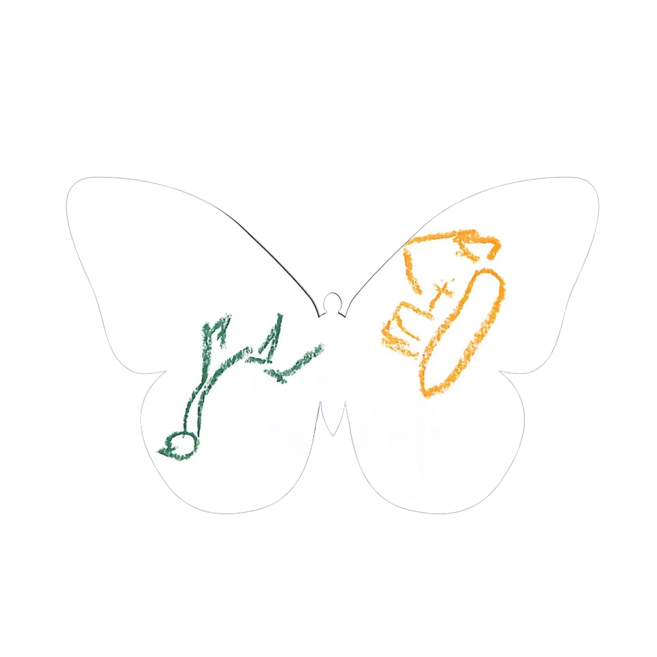 Original Butterfly Image