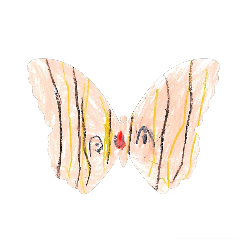 Original Butterfly Image