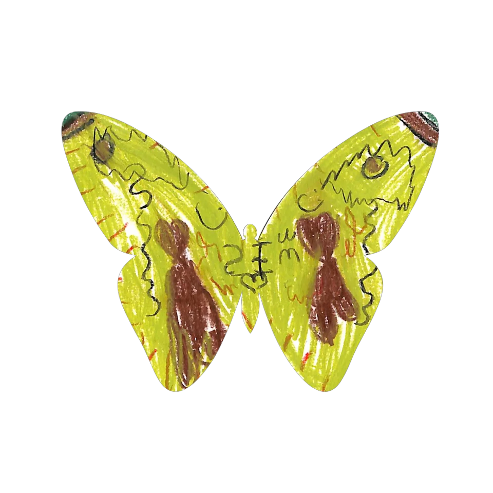 Original Butterfly Image