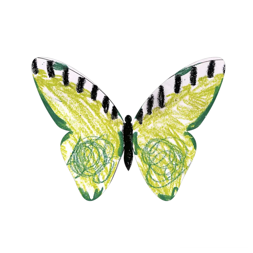 Original Butterfly Image