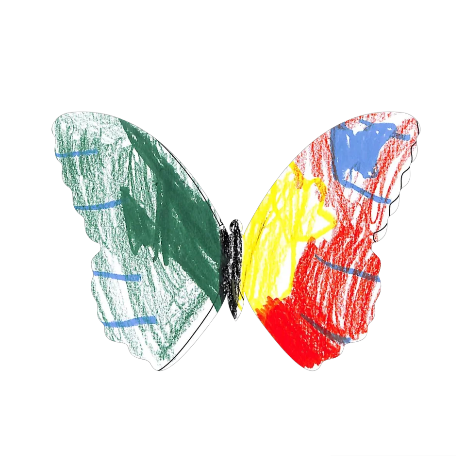 Original Butterfly Image