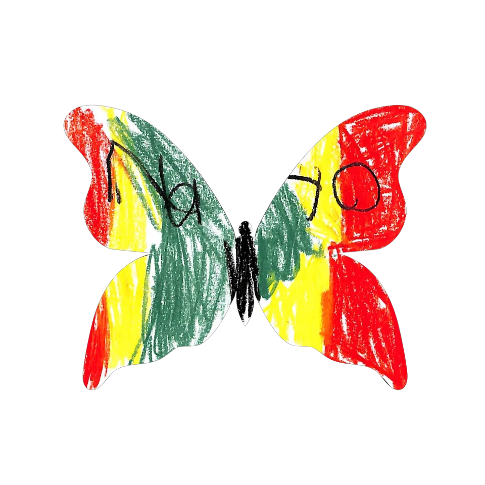 Original Butterfly Image