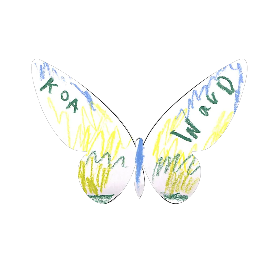 Original Butterfly Image