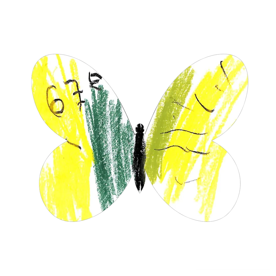 Original Butterfly Image