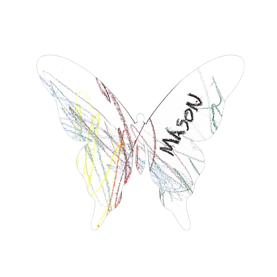 Original Butterfly Image