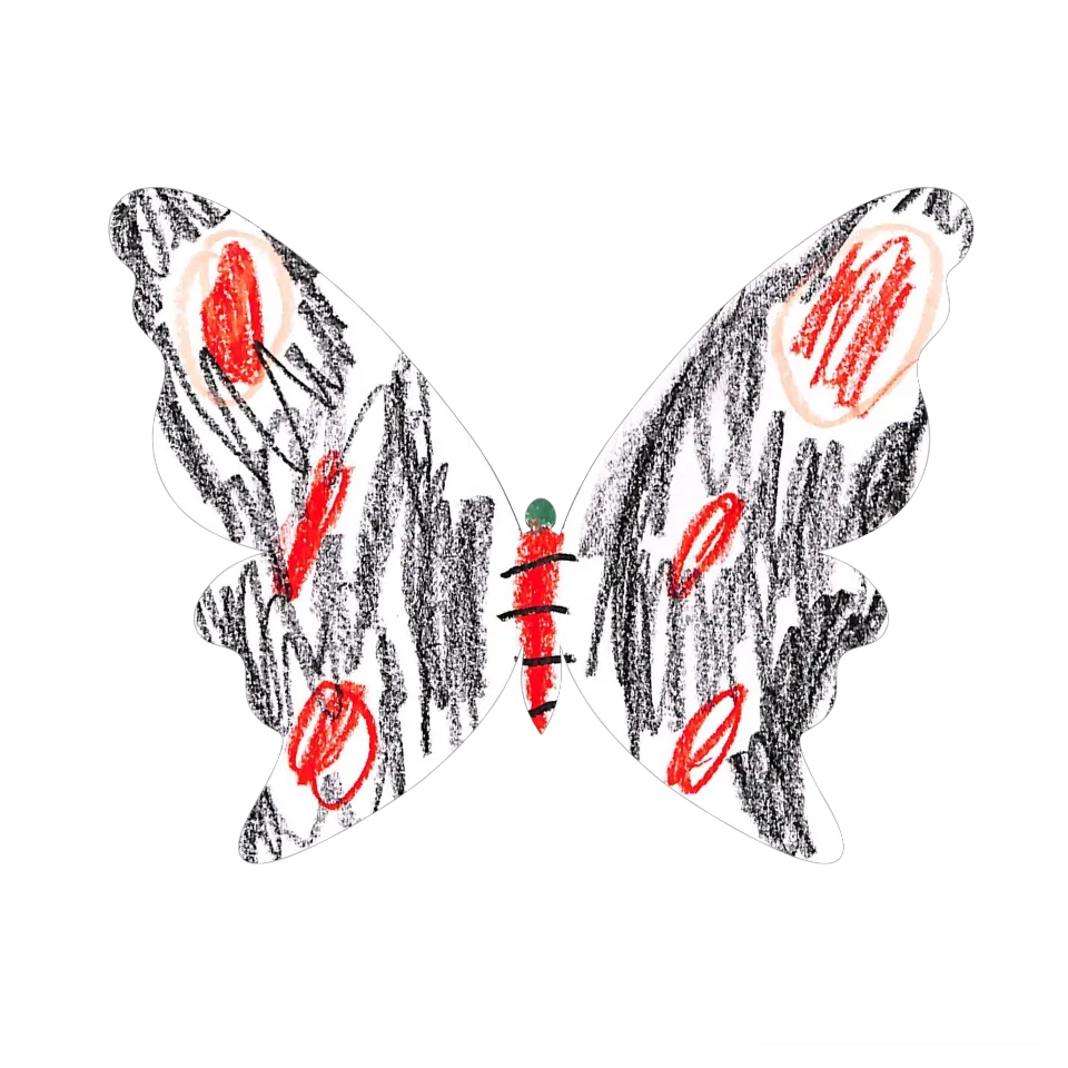Original Butterfly Image