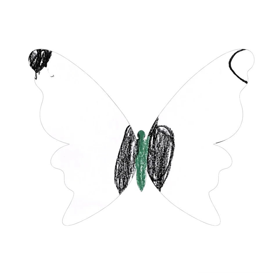 Original Butterfly Image