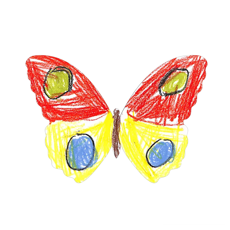 Original Butterfly Image