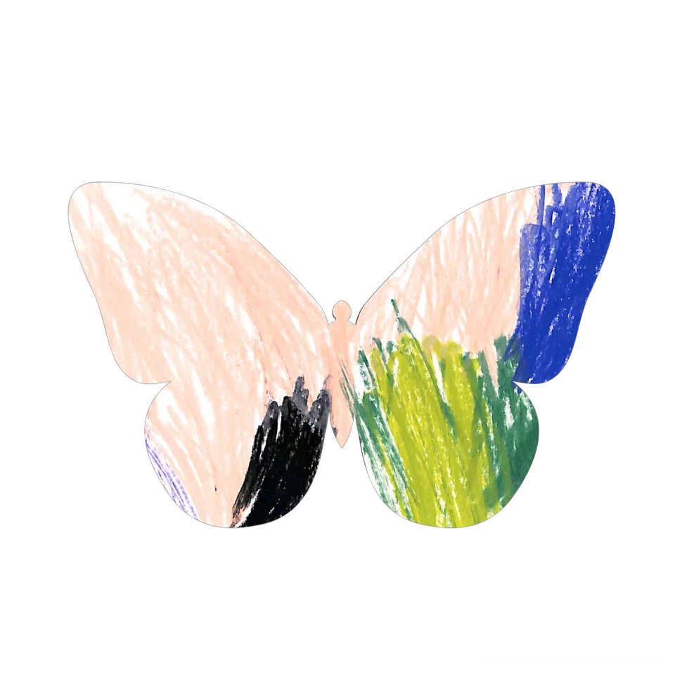 Original Butterfly Image