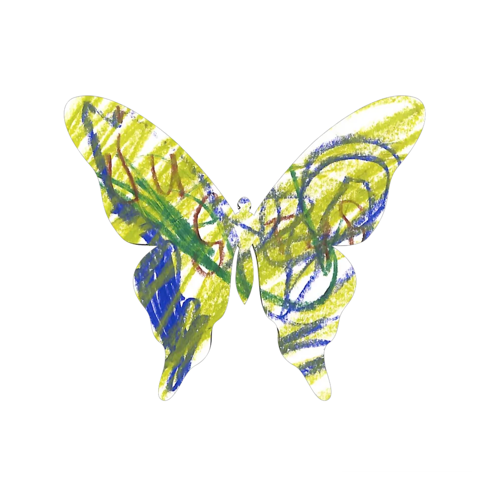 Original Butterfly Image