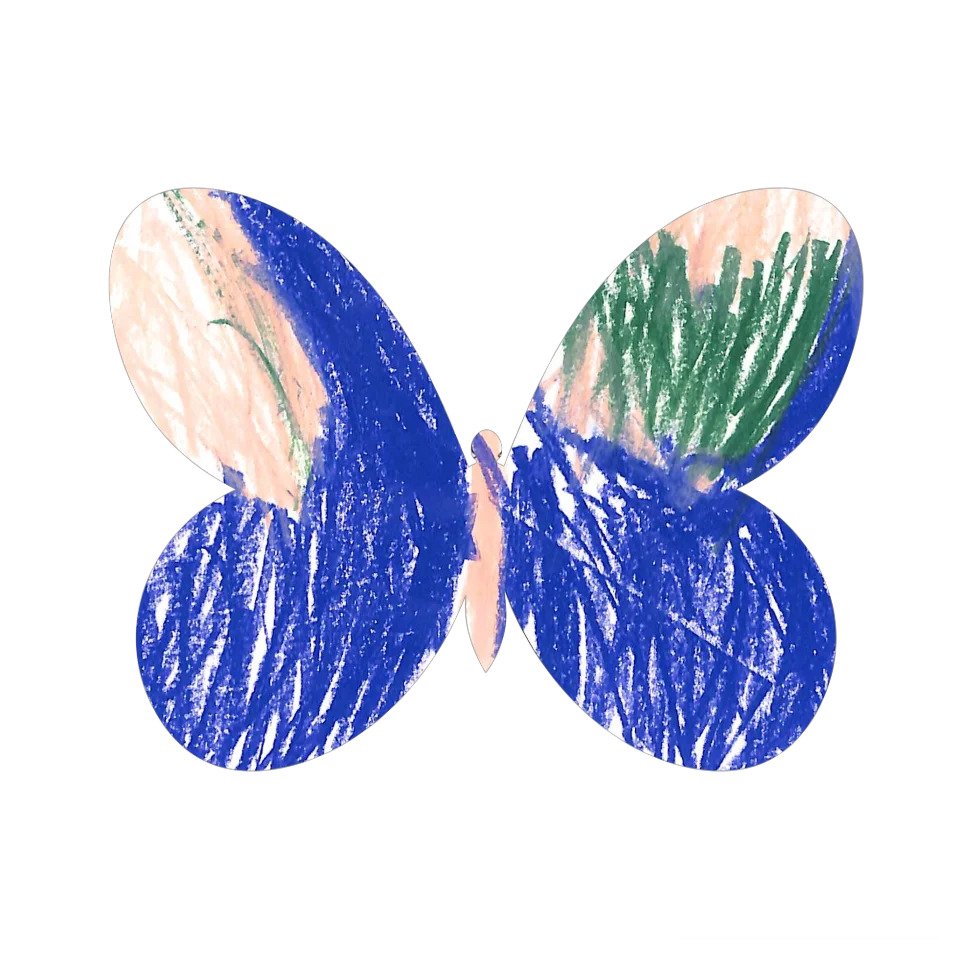 Original Butterfly Image