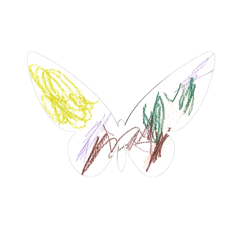 Original Butterfly Image