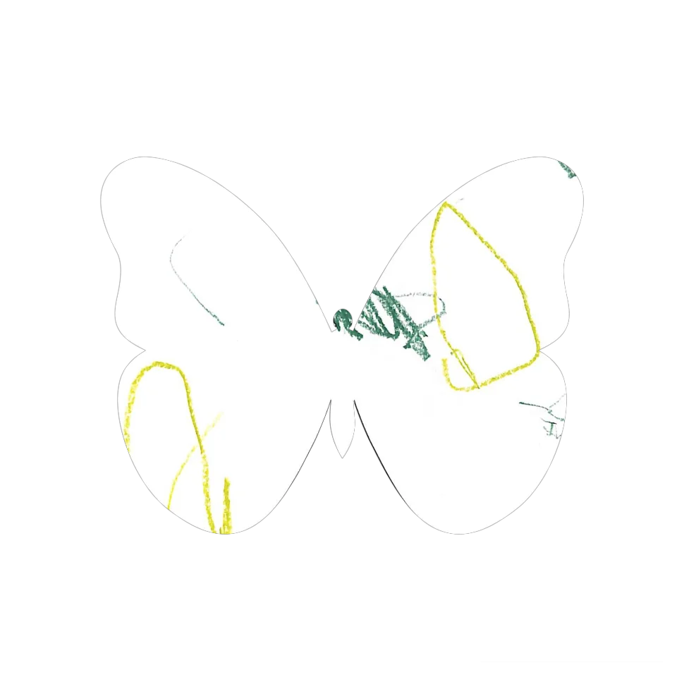 Original Butterfly Image