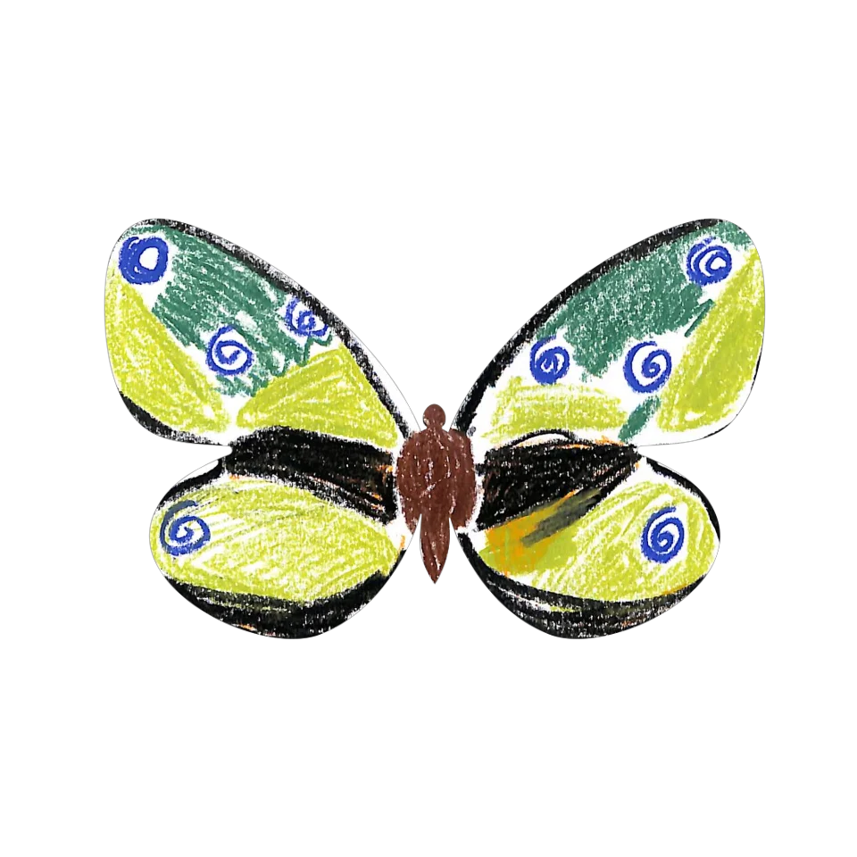Original Butterfly Image