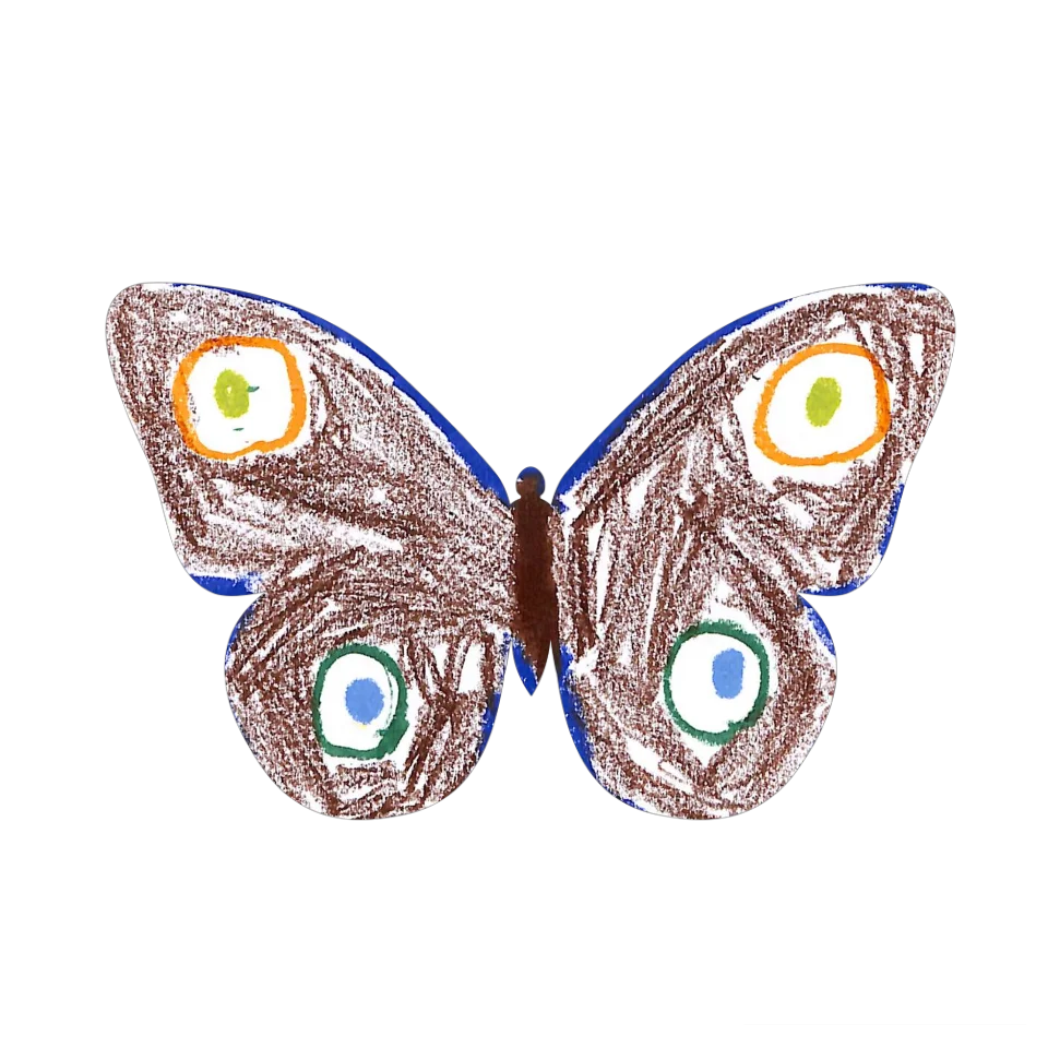 Original Butterfly Image