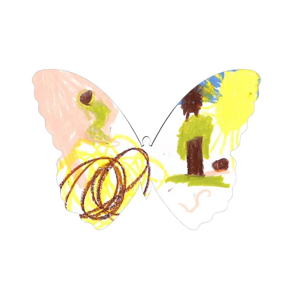 Original Butterfly Image