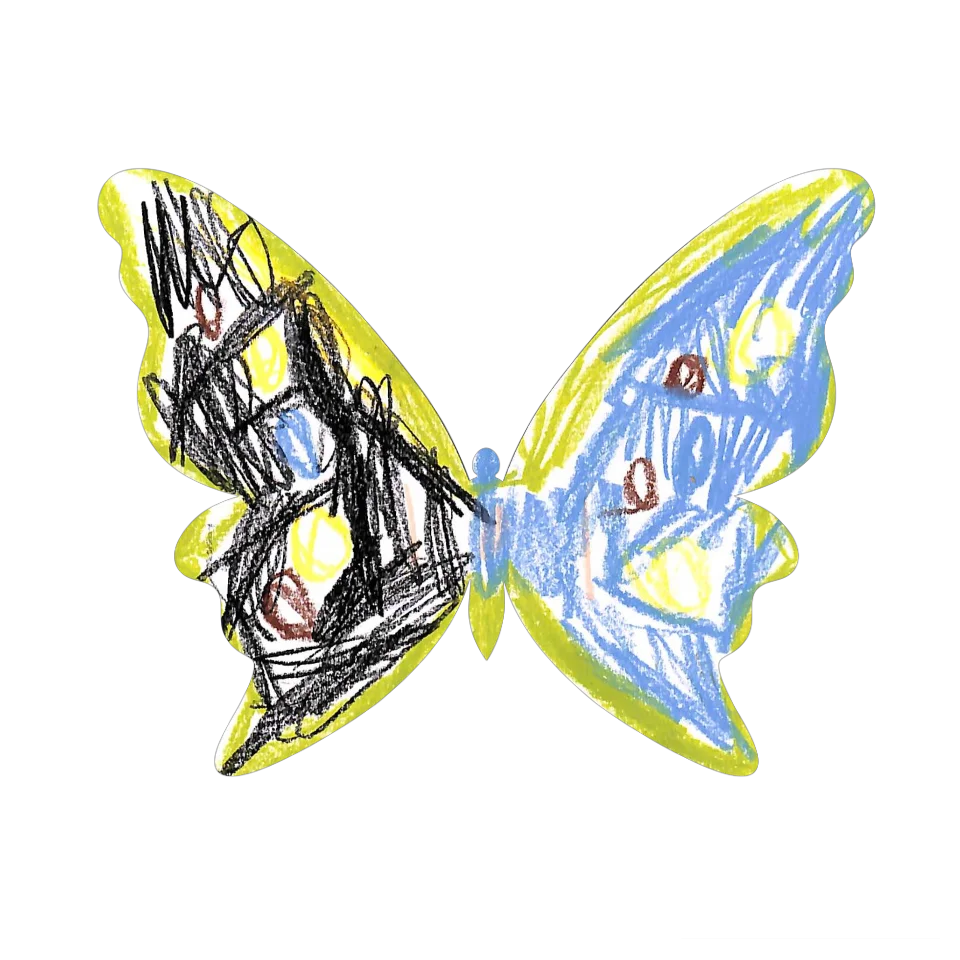 Original Butterfly Image