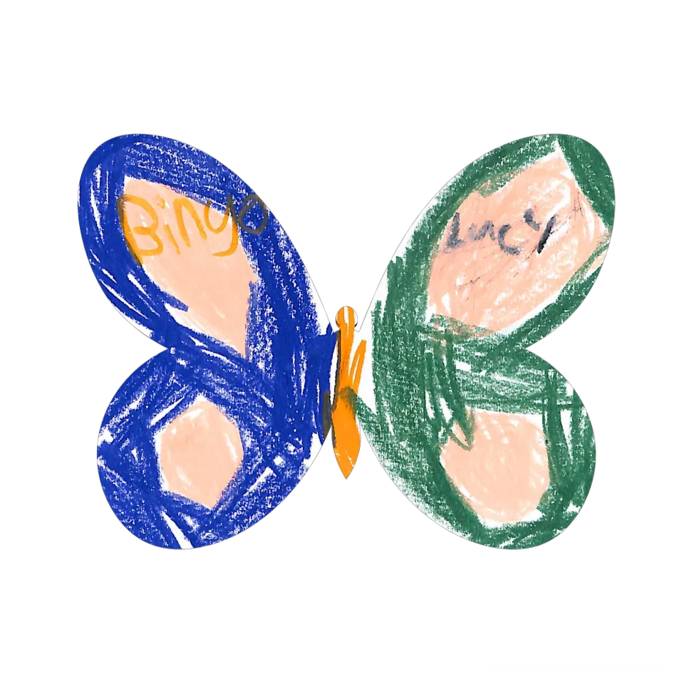 Original Butterfly Image