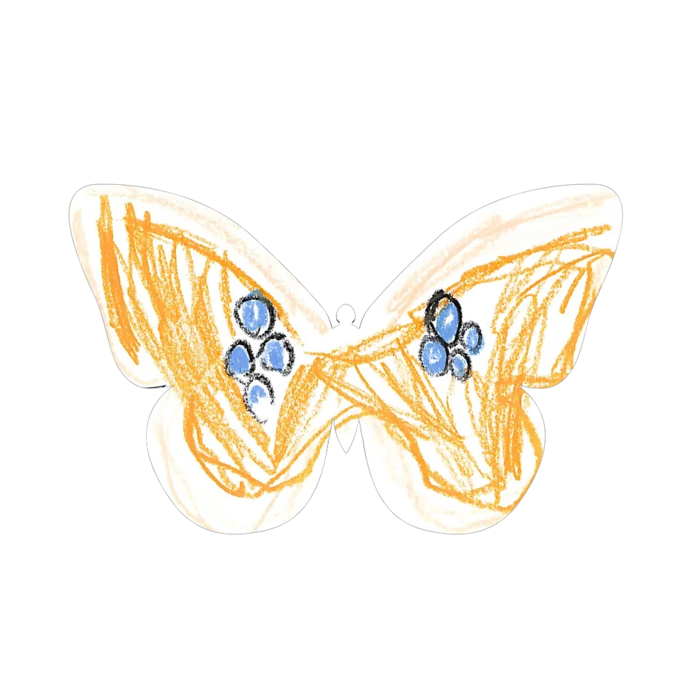 Original Butterfly Image