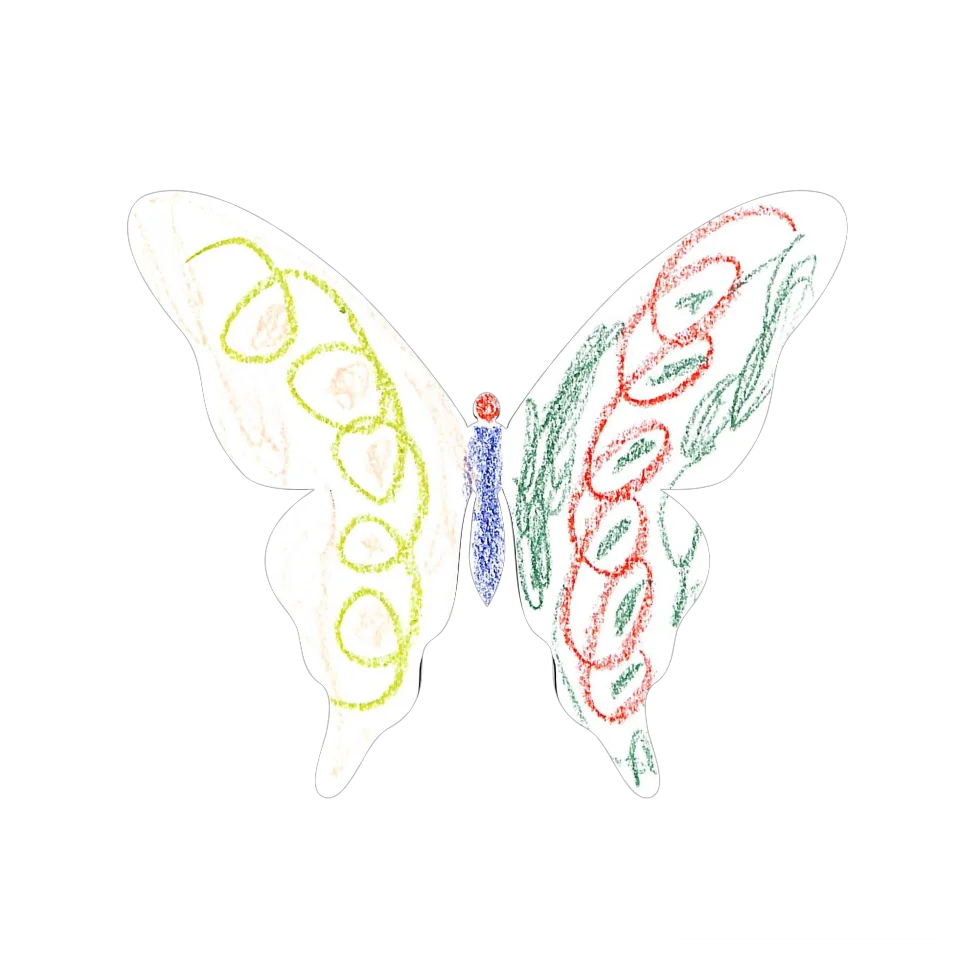 Original Butterfly Image