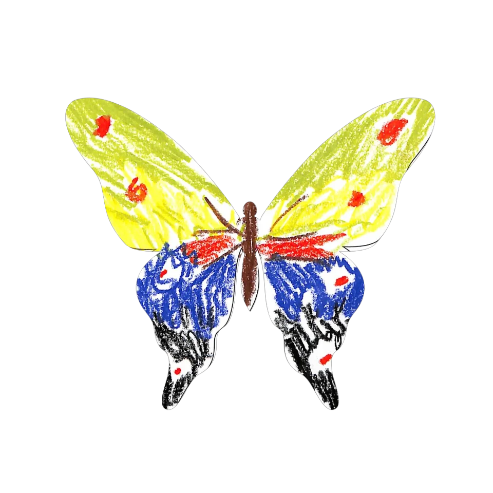 Original Butterfly Image